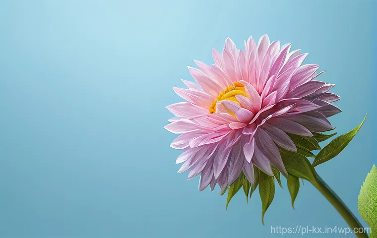 인플루언서 협업을 위한 비즈니스 모델 개발 이미지 1